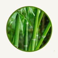 Vinagre de bambu