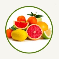 Vitamina C